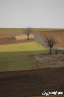 img_7442