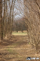 img_7445