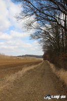 img_7452