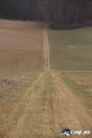 img_7453