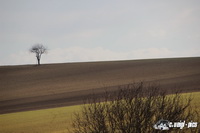 img_7462
