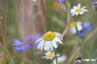 img_8667