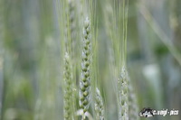 img_8679