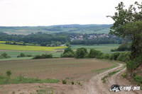 img_8761