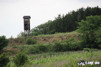 img_8789