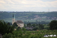 img_8791
