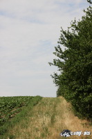 img_9340