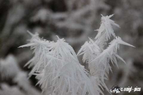 Winterimpressionen