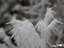 Winterimpressionen