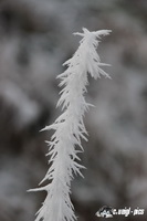 img_7209