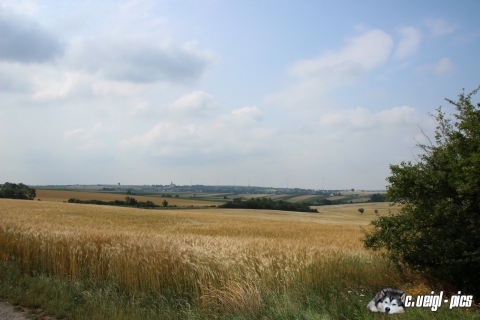 Niedersulz - Nexinger Teiche