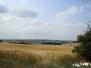 Niedersulz - Nexinger Teiche