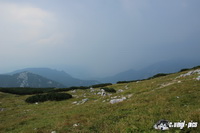 img_6567