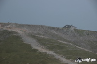 img_6575