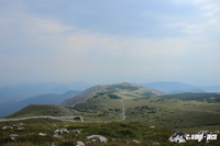 img_6595