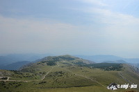img_6597