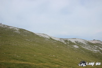 img_6607