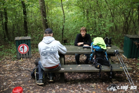 Wanderung durch den Rohrwald und auf den Michelberg