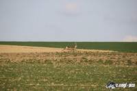 IMG_2832