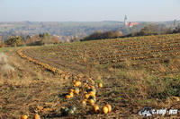 img_8172