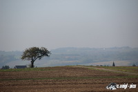 img_8184