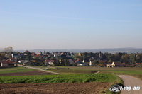 img_8194
