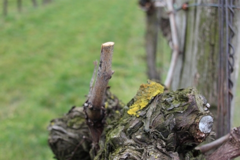 Natur & Landschaften