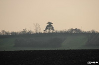img_0789