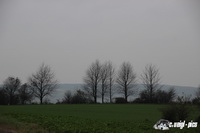img_0917