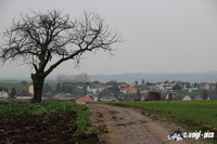 img_0966