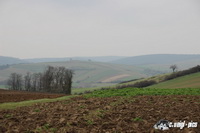 img_0976