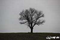 img_1004