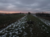 img_0598