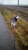 img_20171208_140456