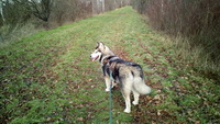 img_20171209_115148