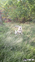img_20171001_145022