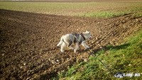 img_20171005_165734