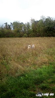 img_20171008_094037