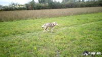 img_20171008_162807_13cs