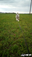 img_20171010_152105
