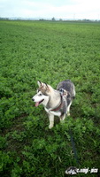 img_20171028_131232