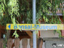 Besuch im Bonsai Museum in Seeboden