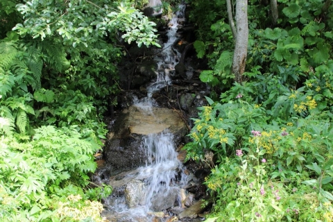Blockgletscherweg Drösental