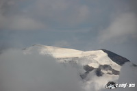 img_6286