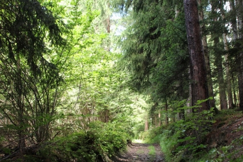 Unterwegs in Kärnten - Wunderblumenweg in Lendorf, Ausflug nach Mallnitz