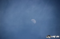 img_3268