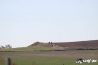 img_8520