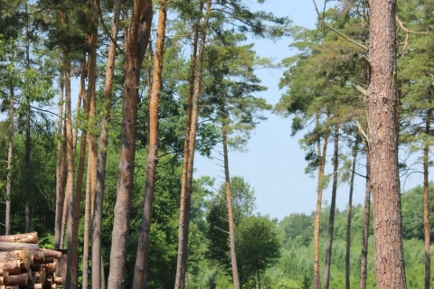 Fotowanderung vom 13. Juni 2015