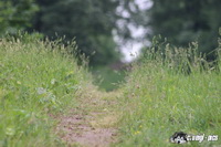 img_4002
