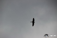 img_4122